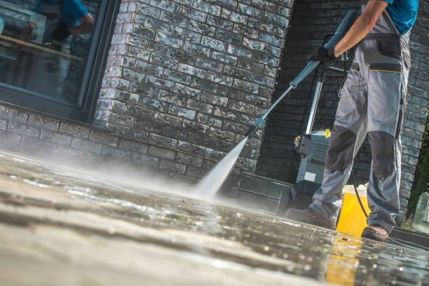 Best Roof Washing  in Centrevle, IL