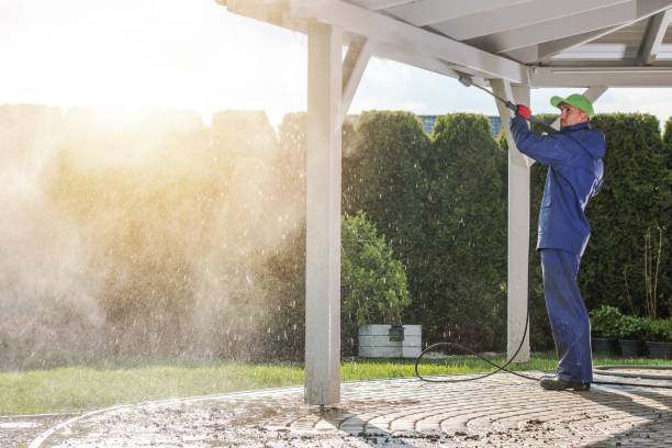 Best Fleet Vehicle Washing  in Centrevle, IL