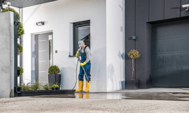 Best Gas Station Cleaning  in Centrevle, IL