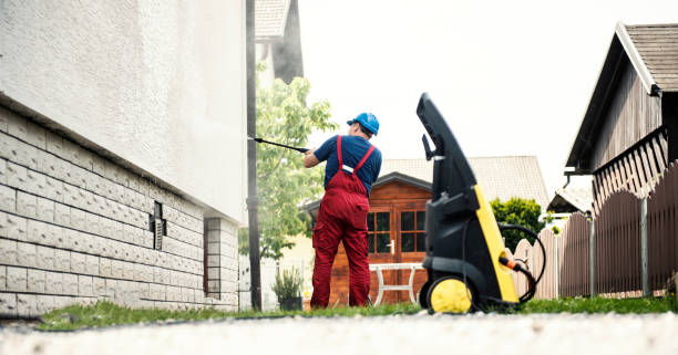 Best Building Exterior Washing  in Centrevle, IL